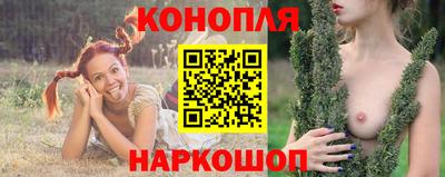 Альфа ПВП Шебекино