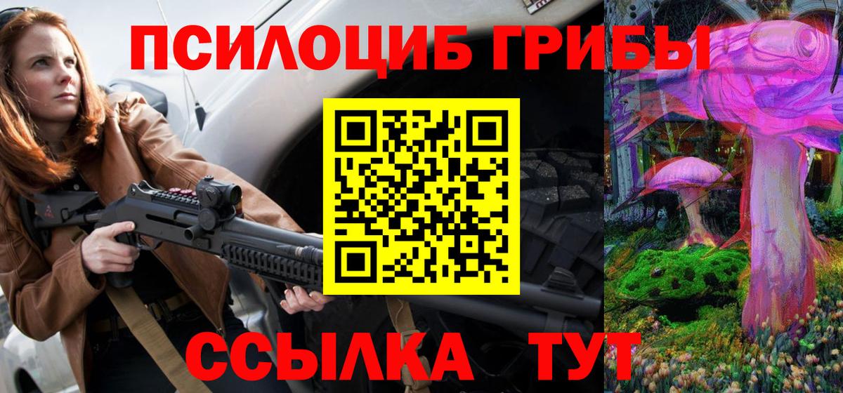 Псилоцибиновые грибы Psilocybine cubensis Соликамск