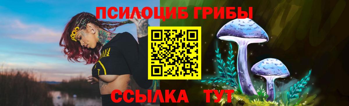 Соликамск  Галлюциногенные грибы GOLDEN TEACHER  где продают   Вход с VPN  Псилоцибиновые грибы Psilocybe 